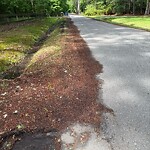 Vegetation Control in ROW at 5621 Willow Lake Rd