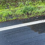 Water - Leak at 429 Parker Rd