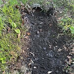 Ditch - Blocked at 1529 Oleander Ave