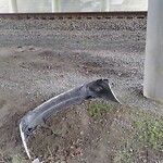 Debris Accumulation - Existing Property at 50762 George Washington Hwy N