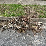 Bulk Trash Pickup at 3320 Pineridge Dr