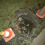 Pothole Repair at Elder Ave