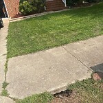 Pothole Repair at 3225 Duquesne Dr