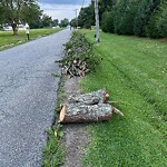 Bulk Trash Pickup at 720 School House Rd