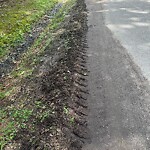 Drainage Issue at 5621 Willow Lake Rd