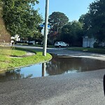 Stormwater -  Pipe/Drain/Catch Basin - Blocked at 301 Highmark Rd