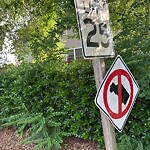 Sign - Maintenance/Repair at 703 Bloom Ave