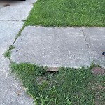 Pothole Repair at 3225 Duquesne Dr
