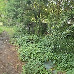 Vegetation Control in ROW at 2611 Meadows Landing