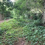 Vegetation Control in ROW at 2607 Meadows Landing