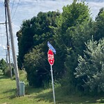 Sign - Maintenance/Repair at 1115 Battlefield Blvd S