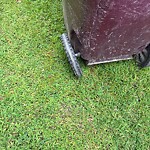 Trash Can - Replacement (Brown Can) at 552 Woodglen Dr