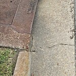 Drainage Issue at 1610 Dock Landing Rd