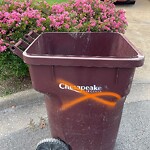 Trash Can - Replacement (Brown Can) at 717 Bulrush Ct
