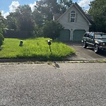 Grass & Weeds - Too High at 2817 Squirrel Run