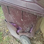 Trash Can - Replacement (Brown Can) at 4123 3 Rd St