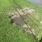 Sewer Stoppage at 337 Angus Rd