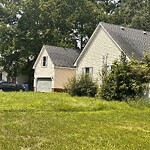 Grass & Weeds - Too High at 528 Warrick Rd