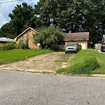 Grass & Weeds - Too High at 2104 Haywood Ave