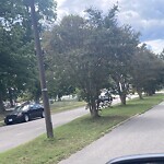Vegetation Control in ROW at Bruin Dr