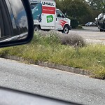 Grass & Weeds - Too High at 2205 S Military Hwy