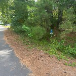 Vegetation Control in ROW at 732 Cardover Ave