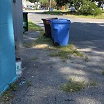 Missed Trash - Container at 3199 Bainbridge Blvd