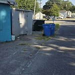 Missed Trash - Container at 3199 Bainbridge Blvd