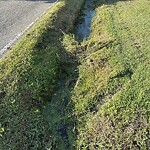 Ditch - Blocked at 1137 Long Ridge Rd Ditch - Blocked at 1137 Long Ridge Rd