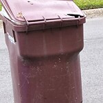 Trash Can - Replacement (Brown Can) at 225 Britwell Dr