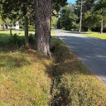 Ditch - Blocked at 1124 Long Ridge Rd Ditch - Blocked at 1124 Long Ridge Rd