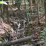 Ditch - Blocked at 1124 Long Ridge Rd Ditch - Blocked at 1124 Long Ridge Rd