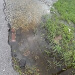 Ditch - Blocked at 4700 Booker St