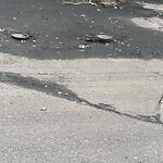 Pothole Repair at 1028 Ramsgate Ln
