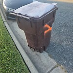 Trash Can - Replacement (Brown Can) at 640 Annaka Loop Trash Can - Replacement (Brown Can) at 640 Annaka Loop