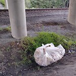 Debris Accumulation - Existing Property at 50763 George Washington Hwy N