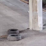 Debris Accumulation - Existing Property at 50765 George Washington Hwy N