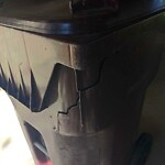Trash Can - Replacement (Brown Can) at 813 Redstart Ave