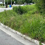 Ditch - Blocked at 708 Jubilee Ct Ditch - Blocked at 708 Jubilee Ct