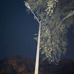 Street Light - Repair at 401 Meridian Dr