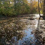Drainage Issue at Pocaty Rd