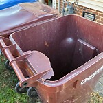 Trash Can - Replacement (Brown Can) at 805 N Haven Cir