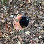 Ditch - Blocked at 5217 Lombard St