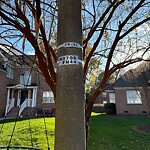 Street Light - Repair at 815 Brookside Arch