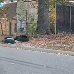 Debris Accumulation - Existing Property at 1728 Hearthside Ct E