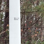 Street Light - Repair at 5036 Pennsylvania Ave