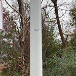 Street Light - Repair at 5024 Pennsylvania Ave