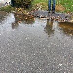 Stormwater -  Pipe/Drain/Catch Basin - Blocked at 708 Turnbuckle Ct