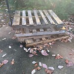 Bulk Trash Pickup at 405 Meridian Dr