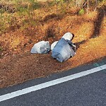 Bulk Trash Pickup at 2521 Gum Rd